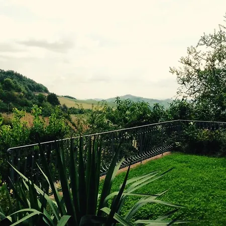 Orizzonte אורבניה